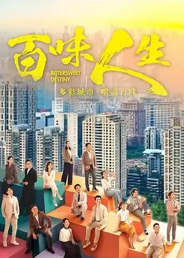 我的团长我的团 剧集海报